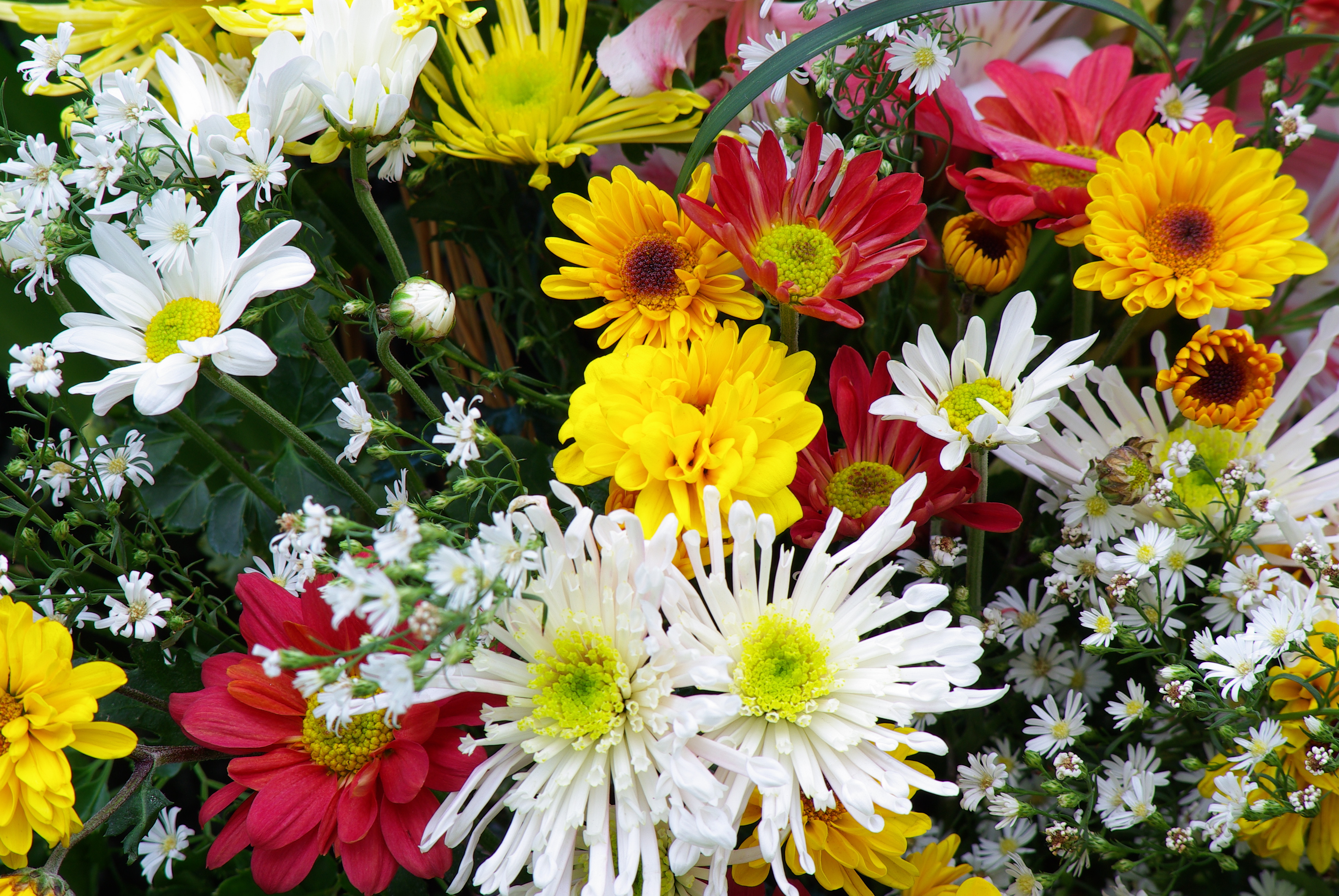 Memorial flowers