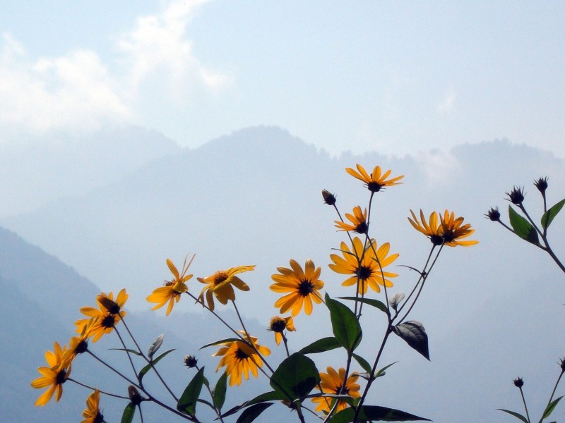Chaboksar, Gilan, Iran - panoramio