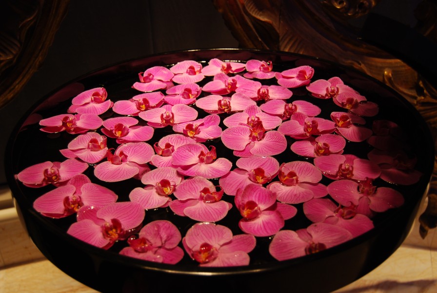 EM WYNN RESORT (2845057054)