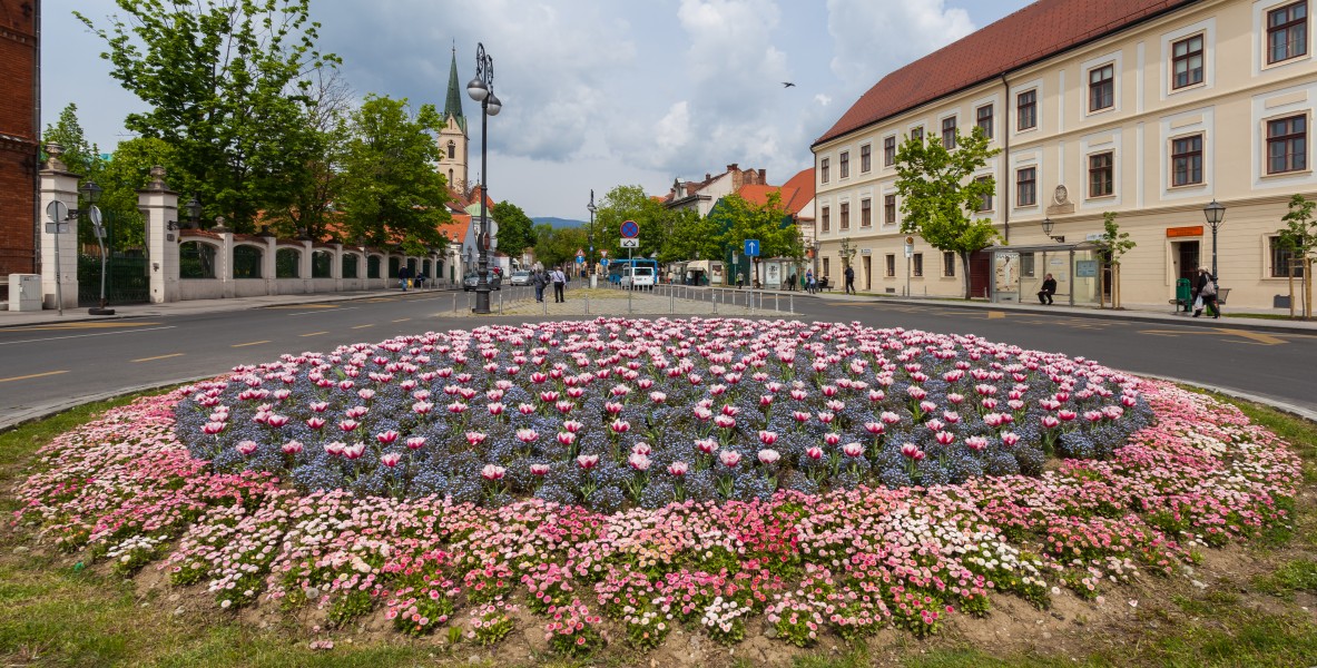 Flores en la calle Kaptol, Zagreb, Croacia, 2014-04-13, DD 01