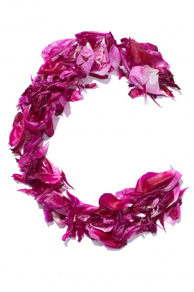 Flower Alphabet - C