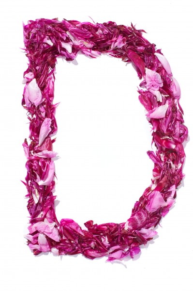 Flower Alphabet - D