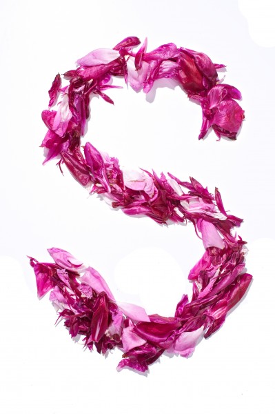 Flower Alphabet - S