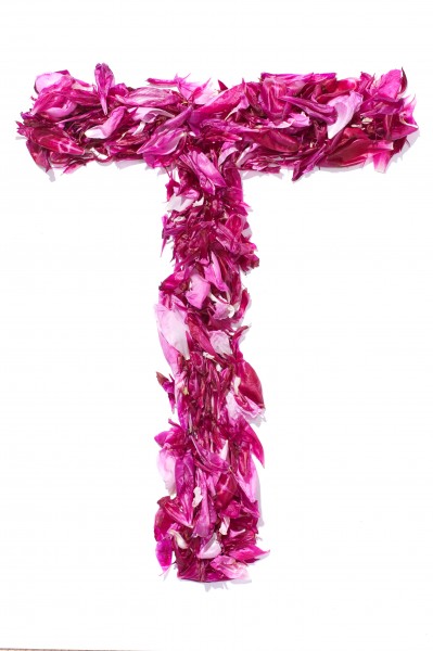 Flower Alphabet - T