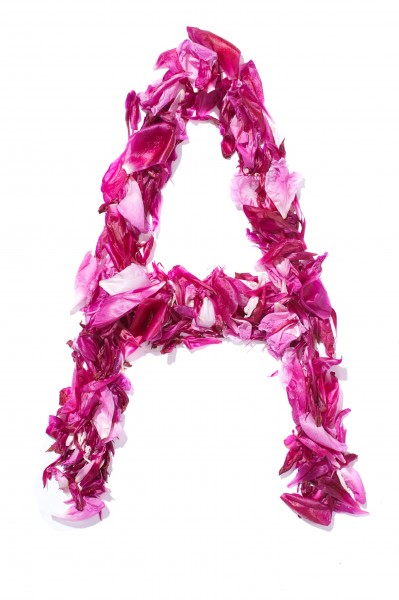 Flower Alphabet A