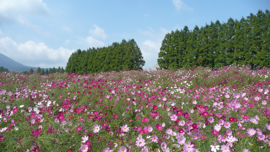 Ikoma Plateau 200810 01