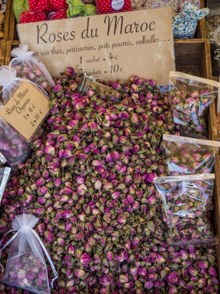 Nizza-rose-blossoms-4070845
