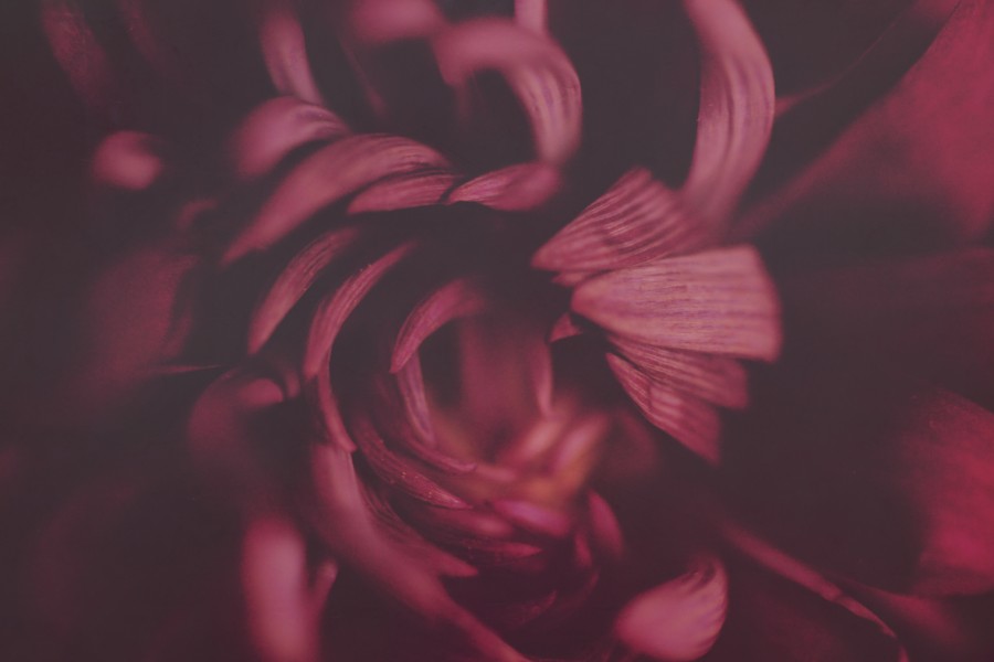 Sensual moments (CC) (11988752805)