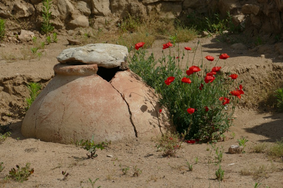 St Atanas, Byala 04