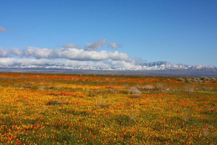 Tehachapi Mountains (3380462608)