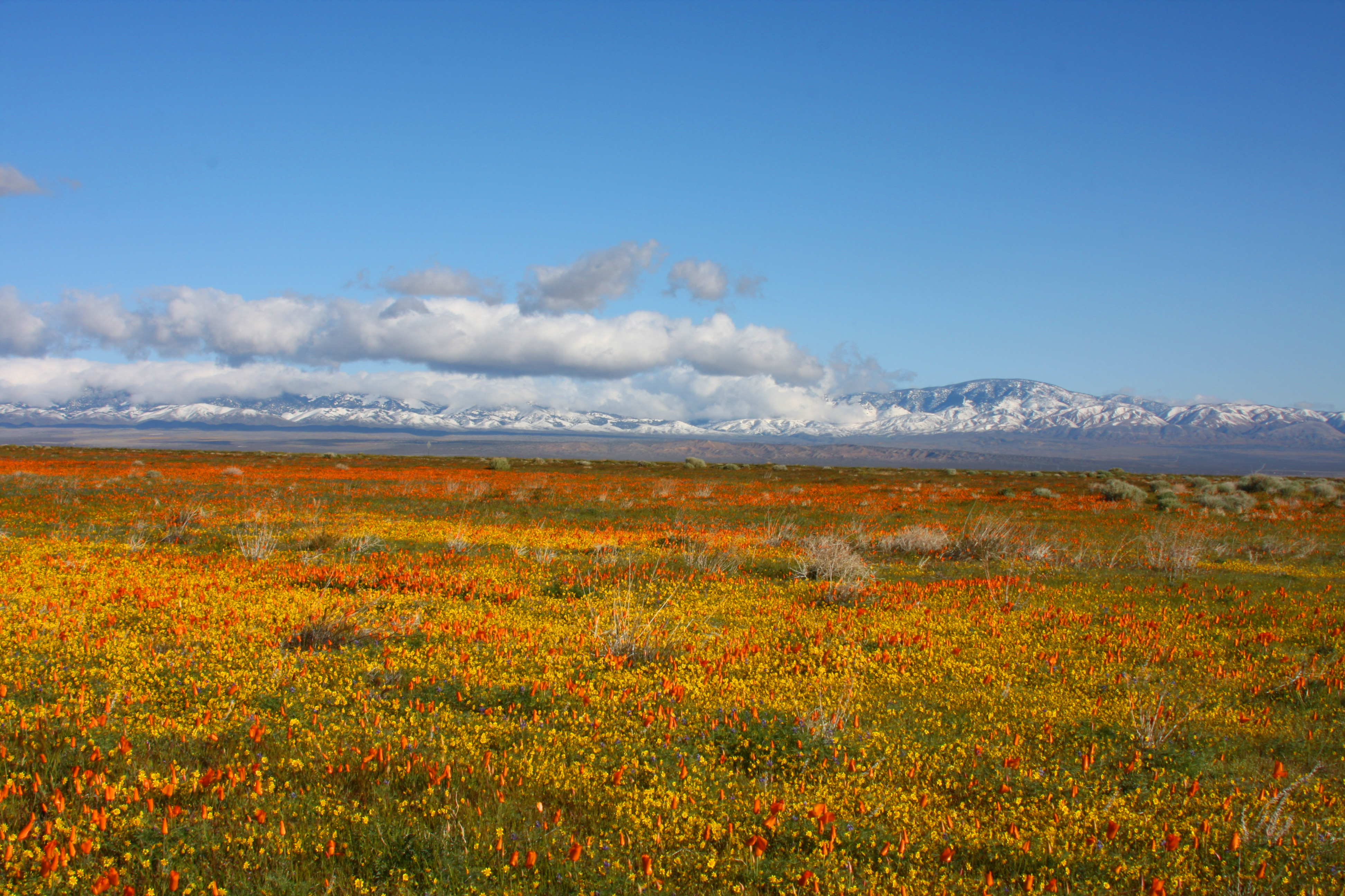 Tehachapi Mountains (3380462608)
