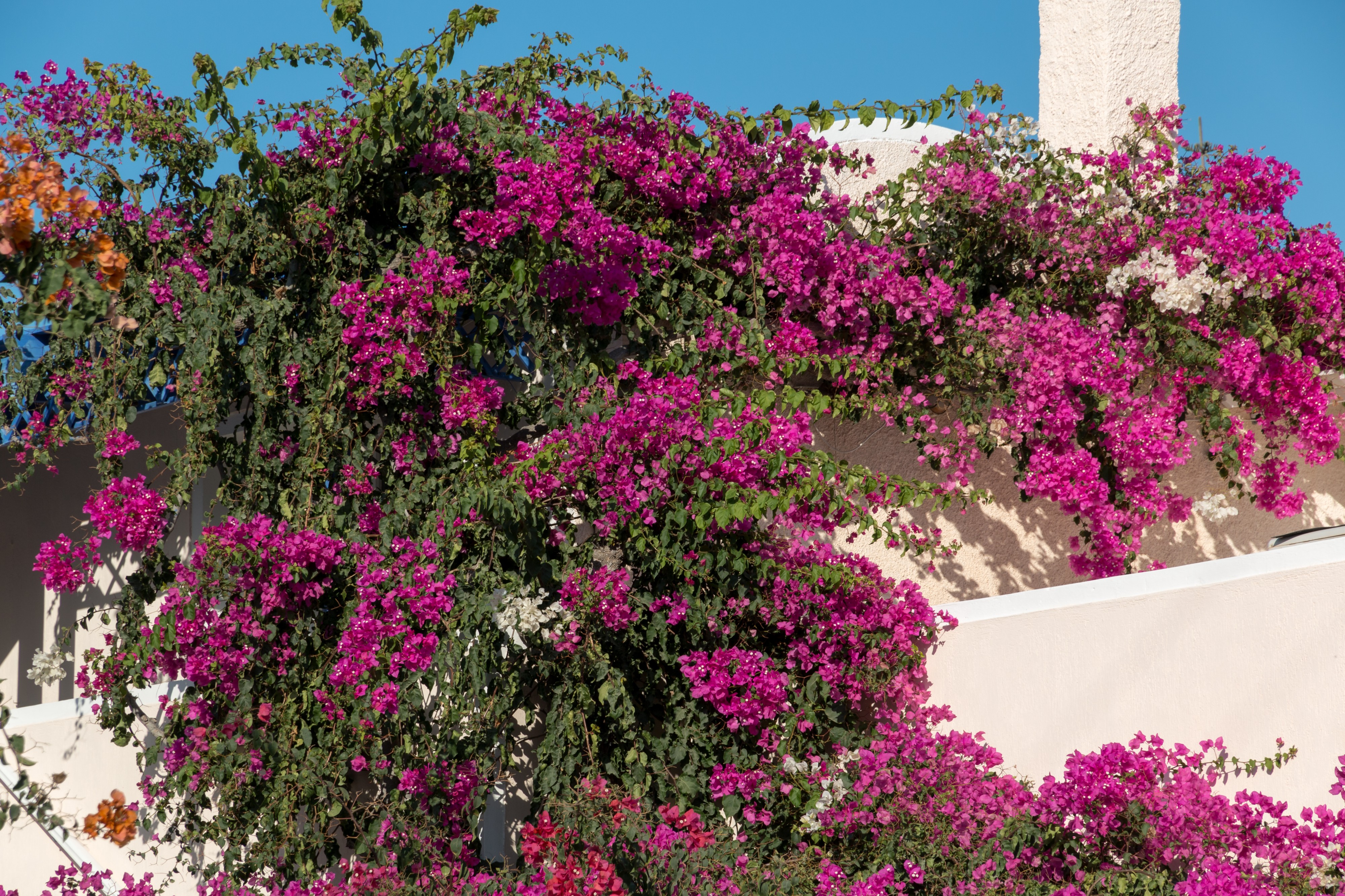 Santorin (GR), Akrotiri -- 2017 -- 2452