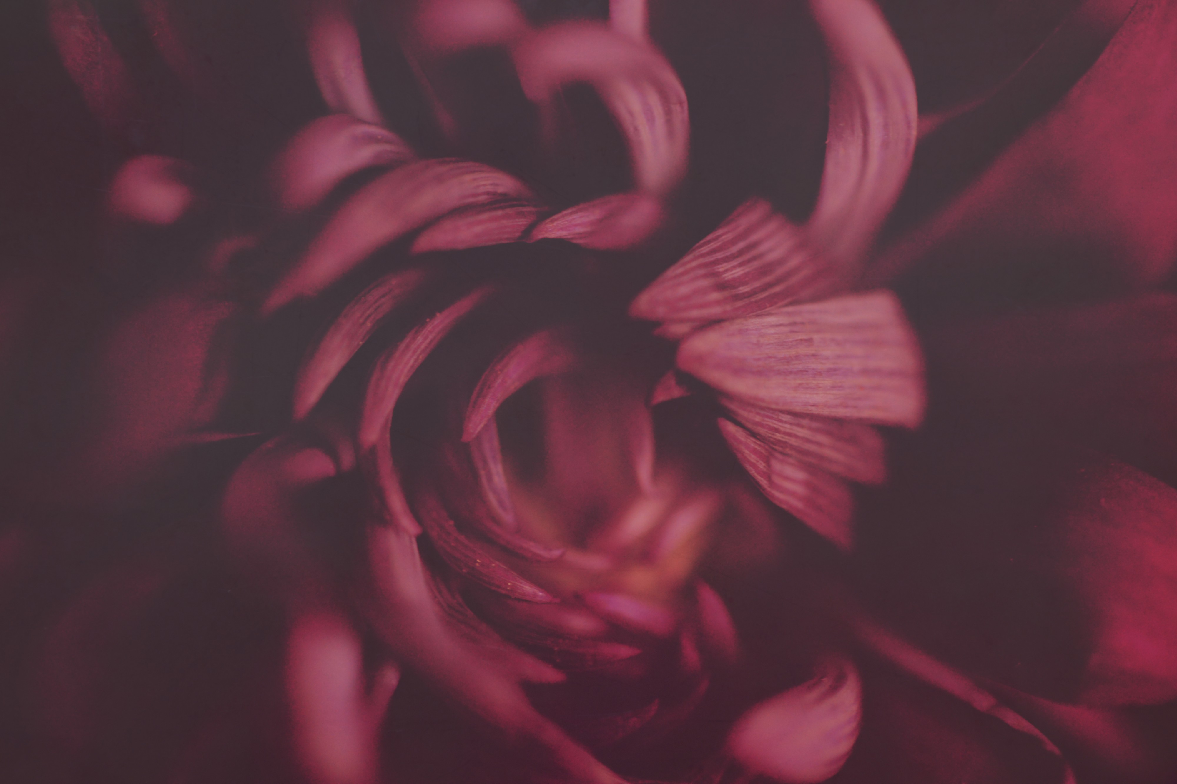 Sensual moments (CC) (11988752805)