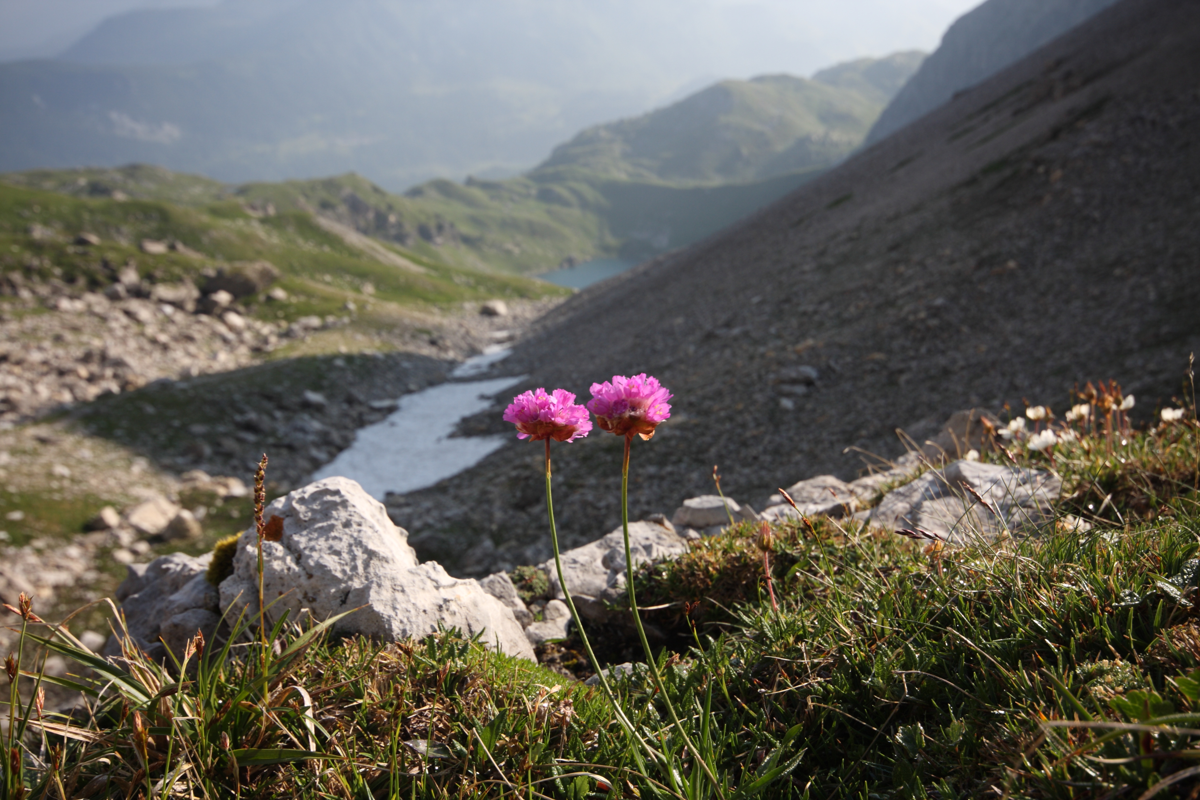 Wildsee obertauern9864