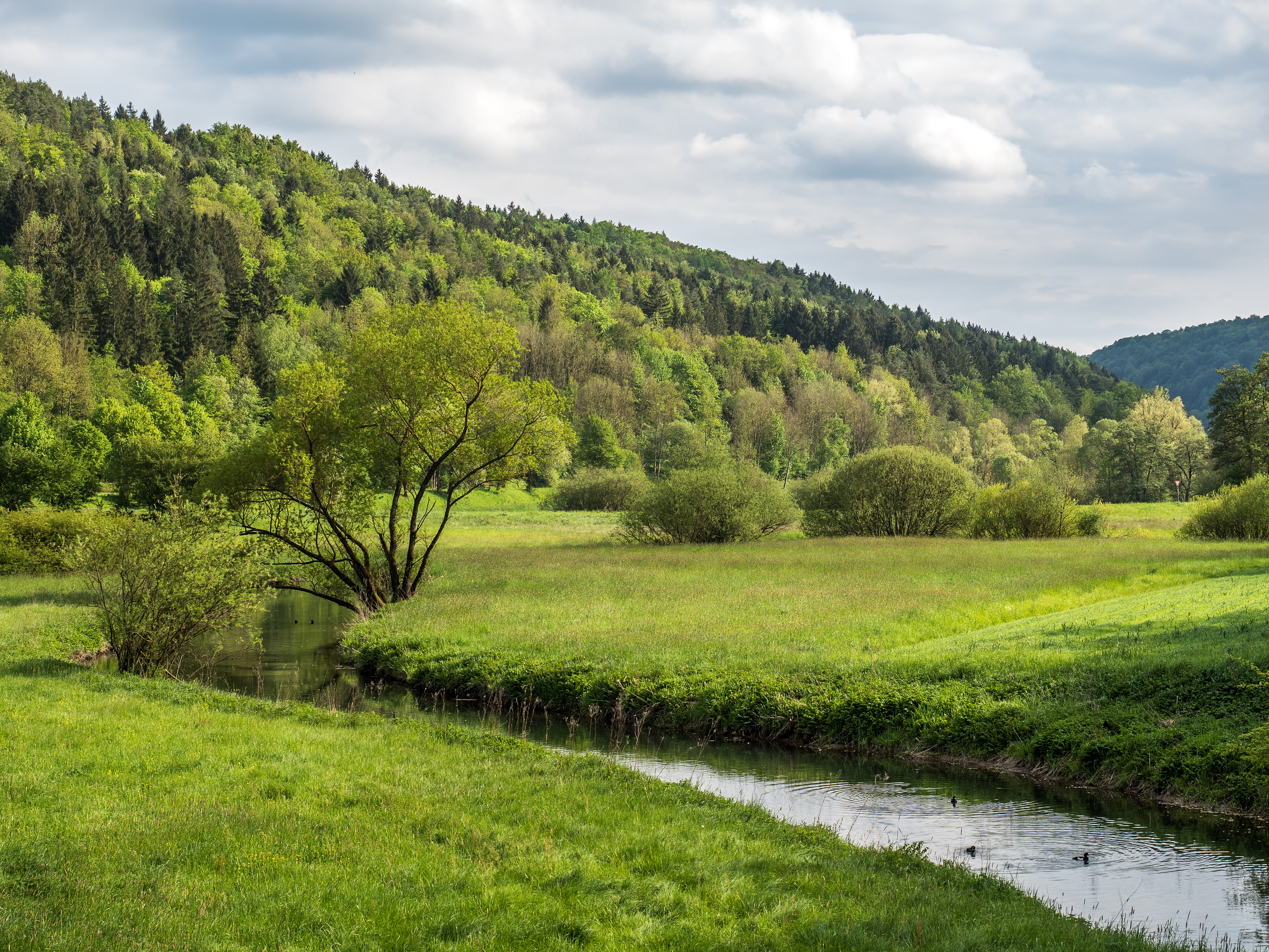 Leinleitertal-Veilbronn-