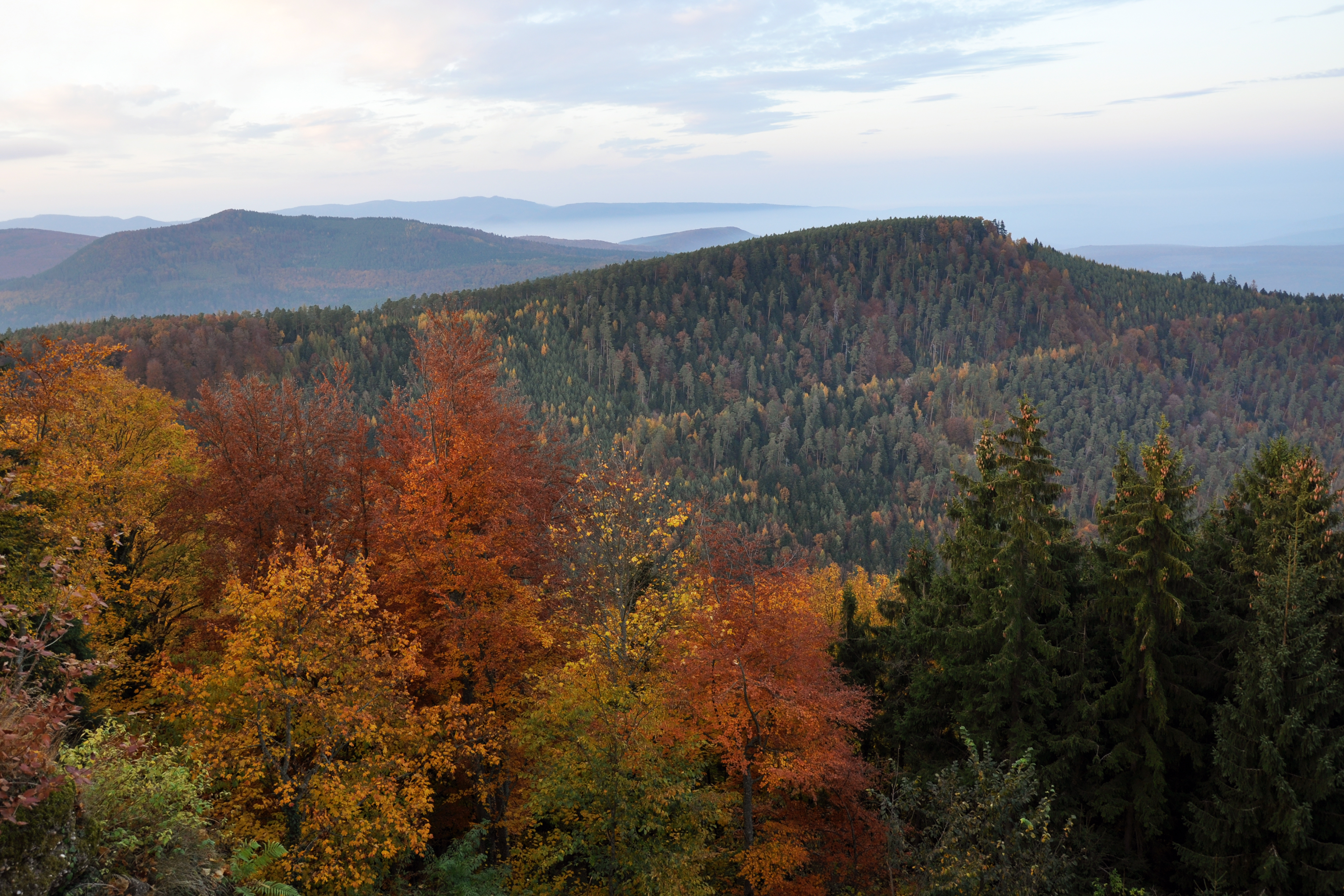 Mont Saint-Odile 1 11 2011 3