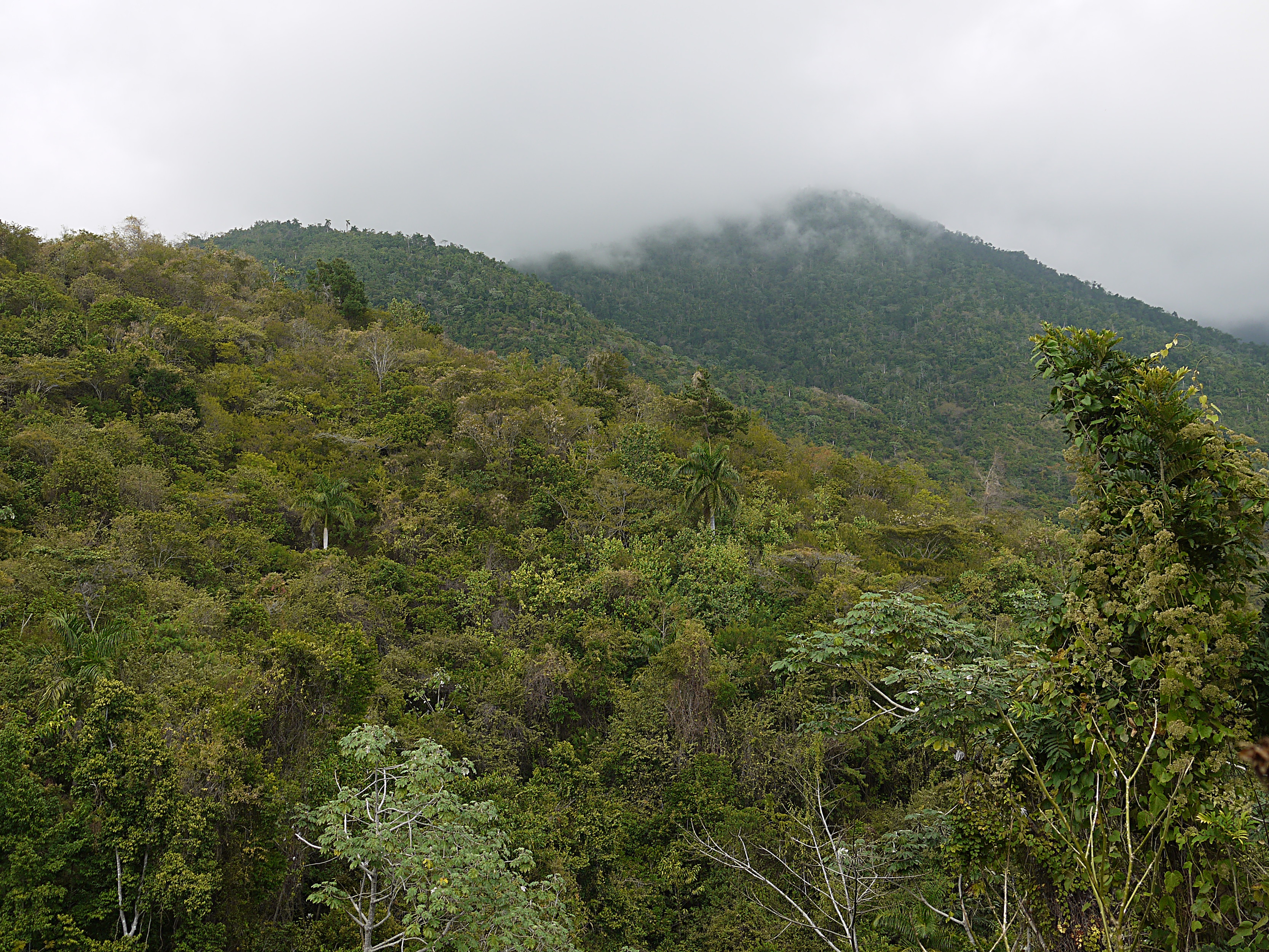Pico Cuba