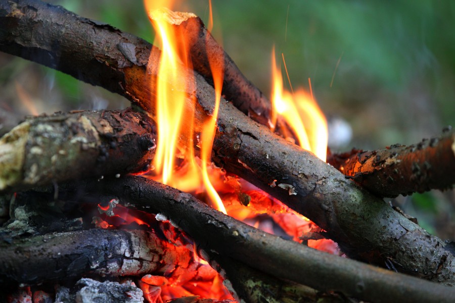 a fire lit in a forest in July 2013, picture 2/2