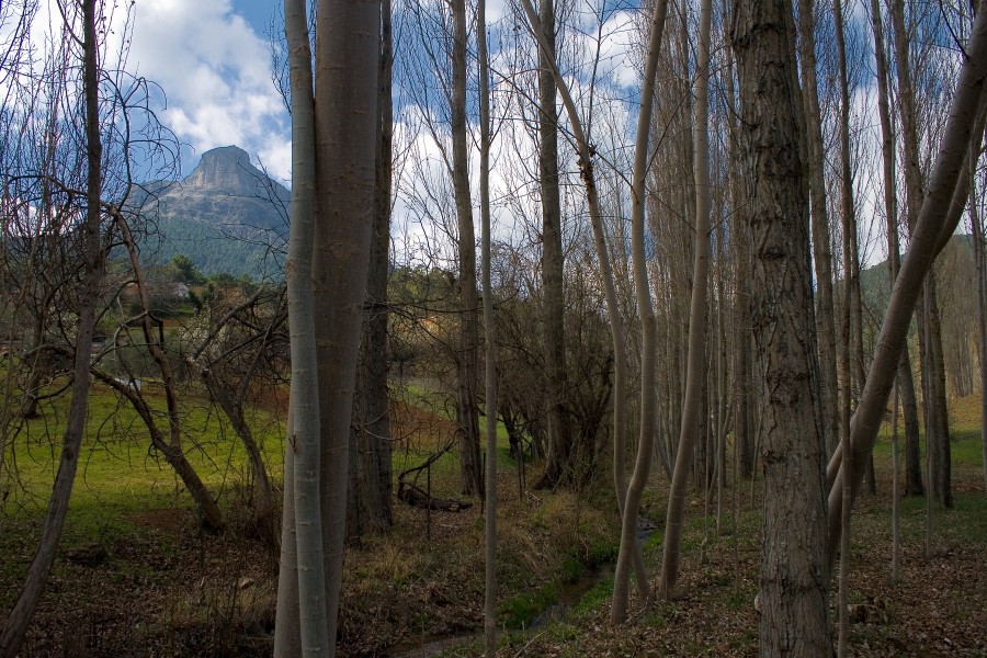 Cauce del Guadalimar (2354795184)