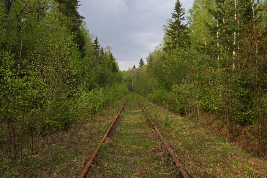 Detkovo forest and rail track