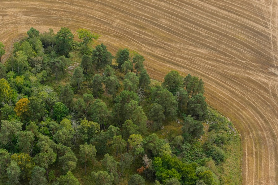 Färingsö September 2014 01