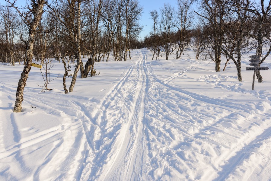 Ljungdalen Mars 2013 15