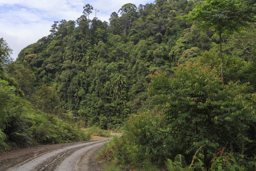 Pensiangan Sabah Sapulut-Pensiangan Road-03