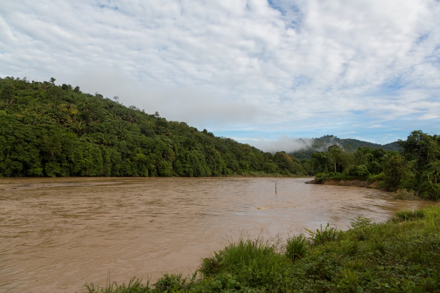 Rivers-of-Sabah Sungai-Padas-01