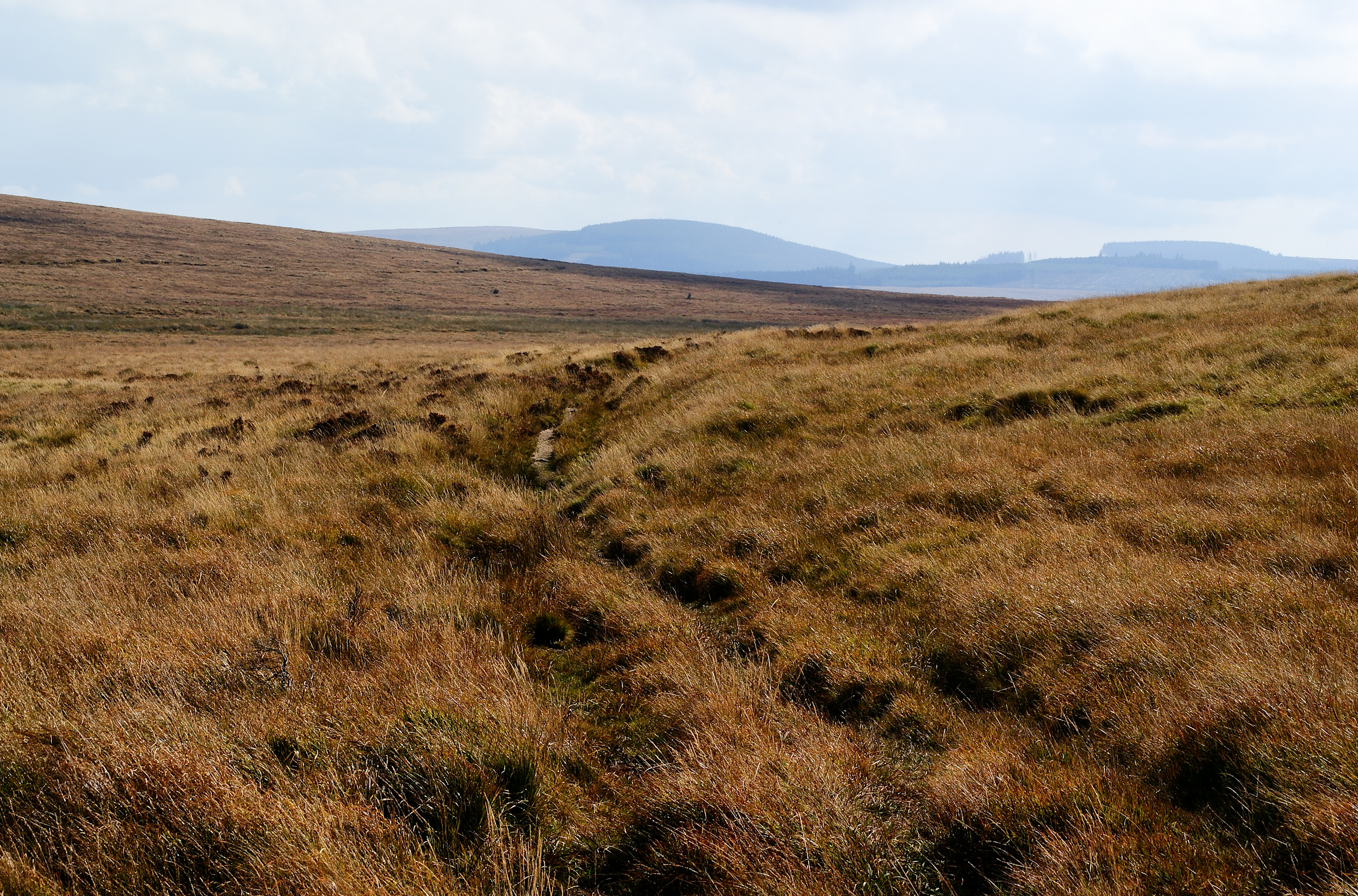 South Zeal track at Raybarrow-3