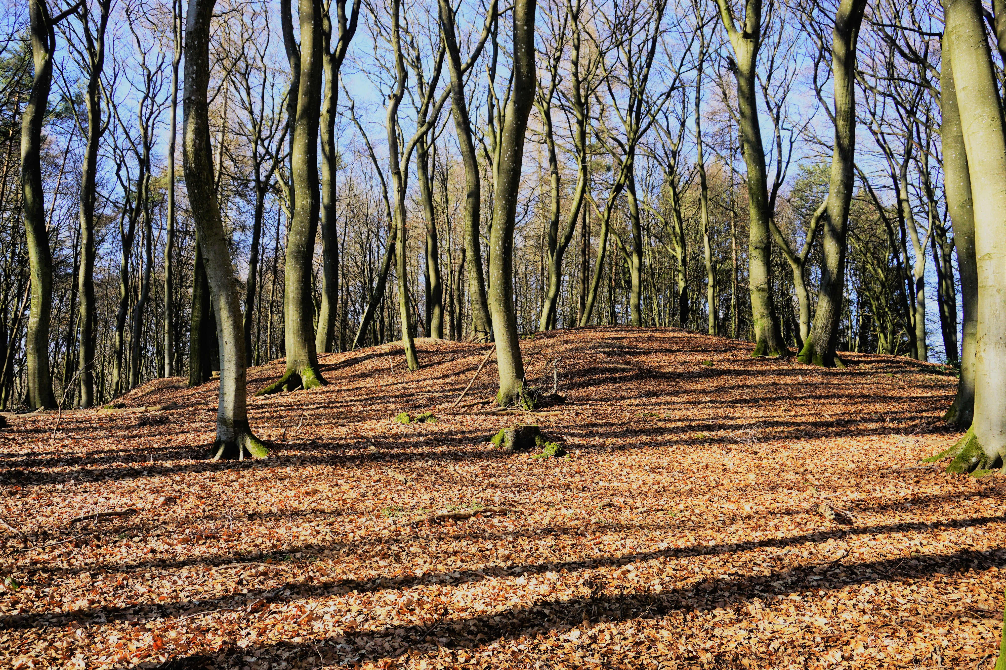 Altrier, Tumulus (3)