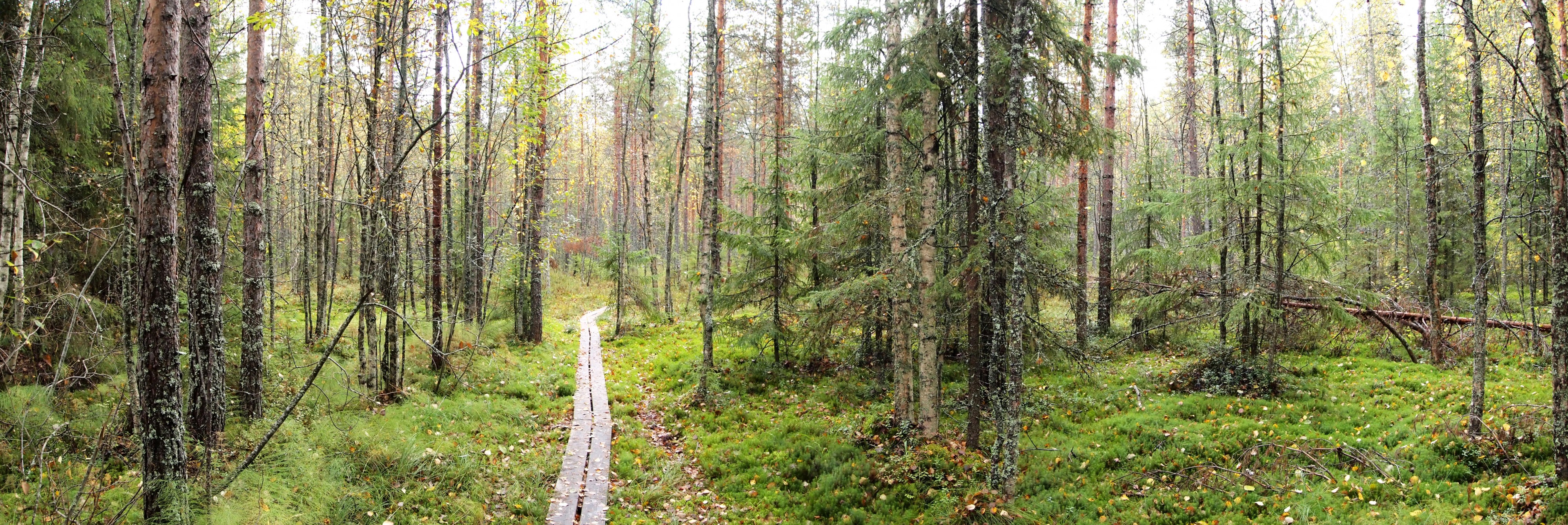 Laajavuoren räme