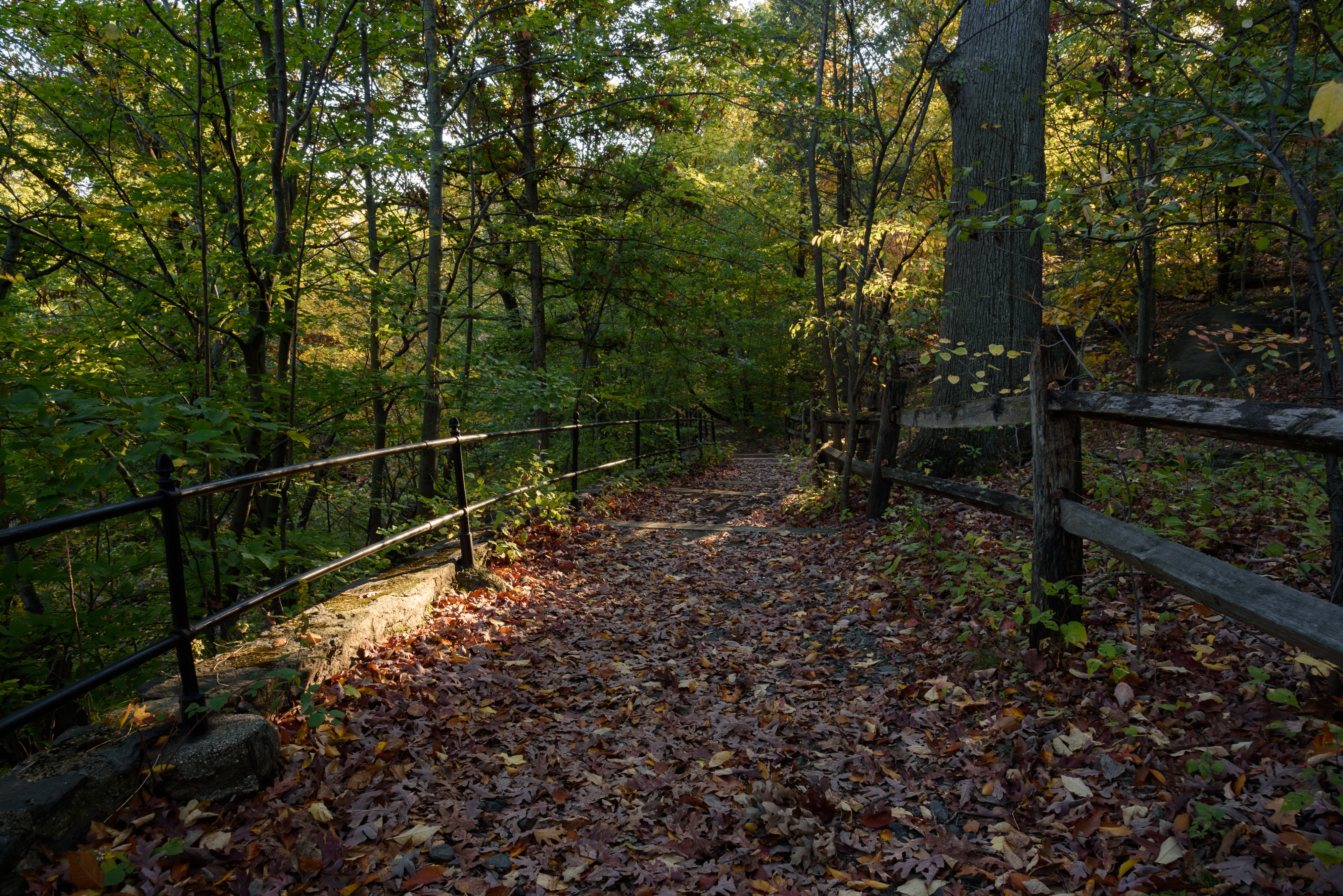 New York Botanical Garden October 2016 012