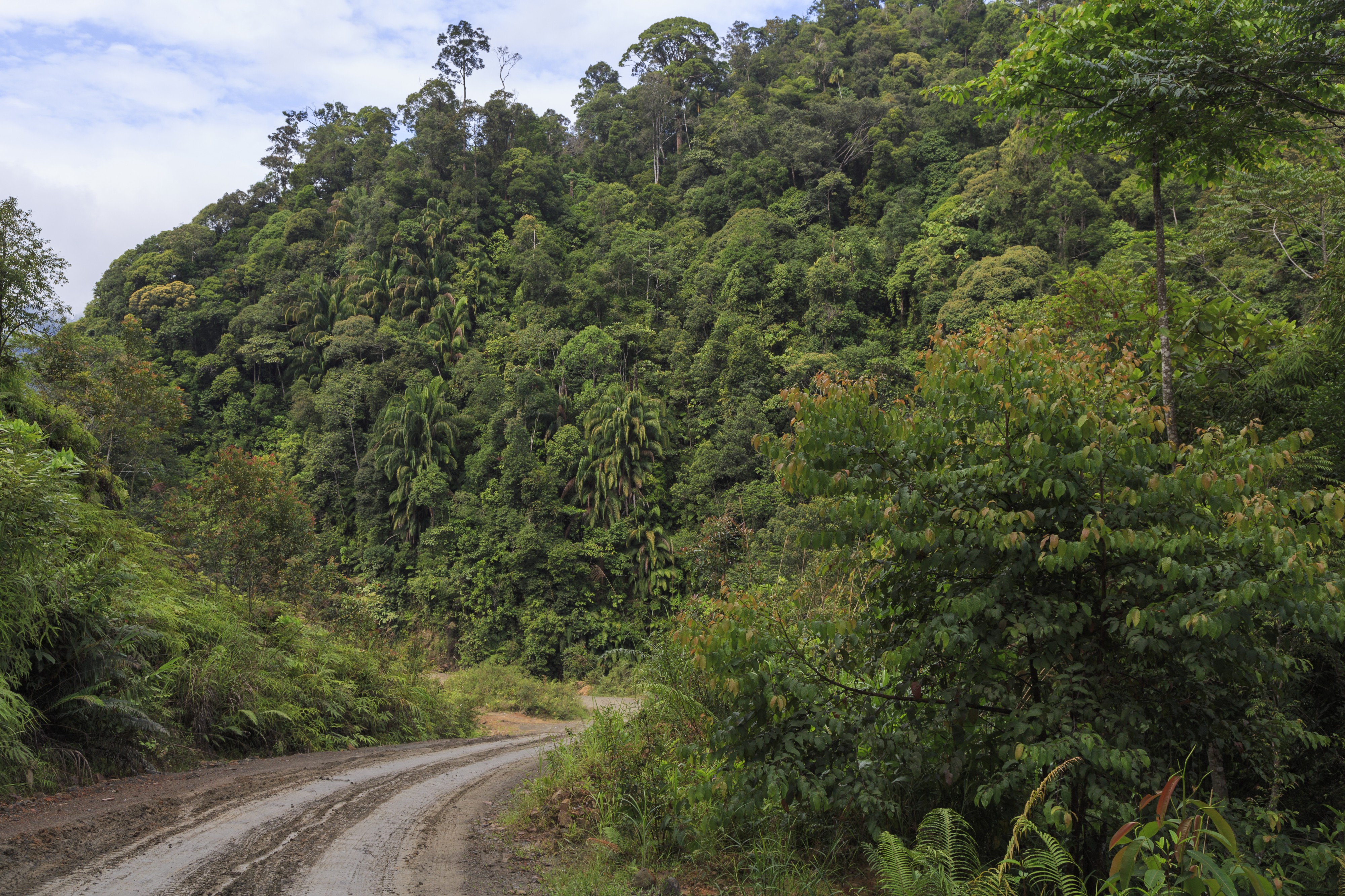Pensiangan Sabah Sapulut-Pensiangan Road-03