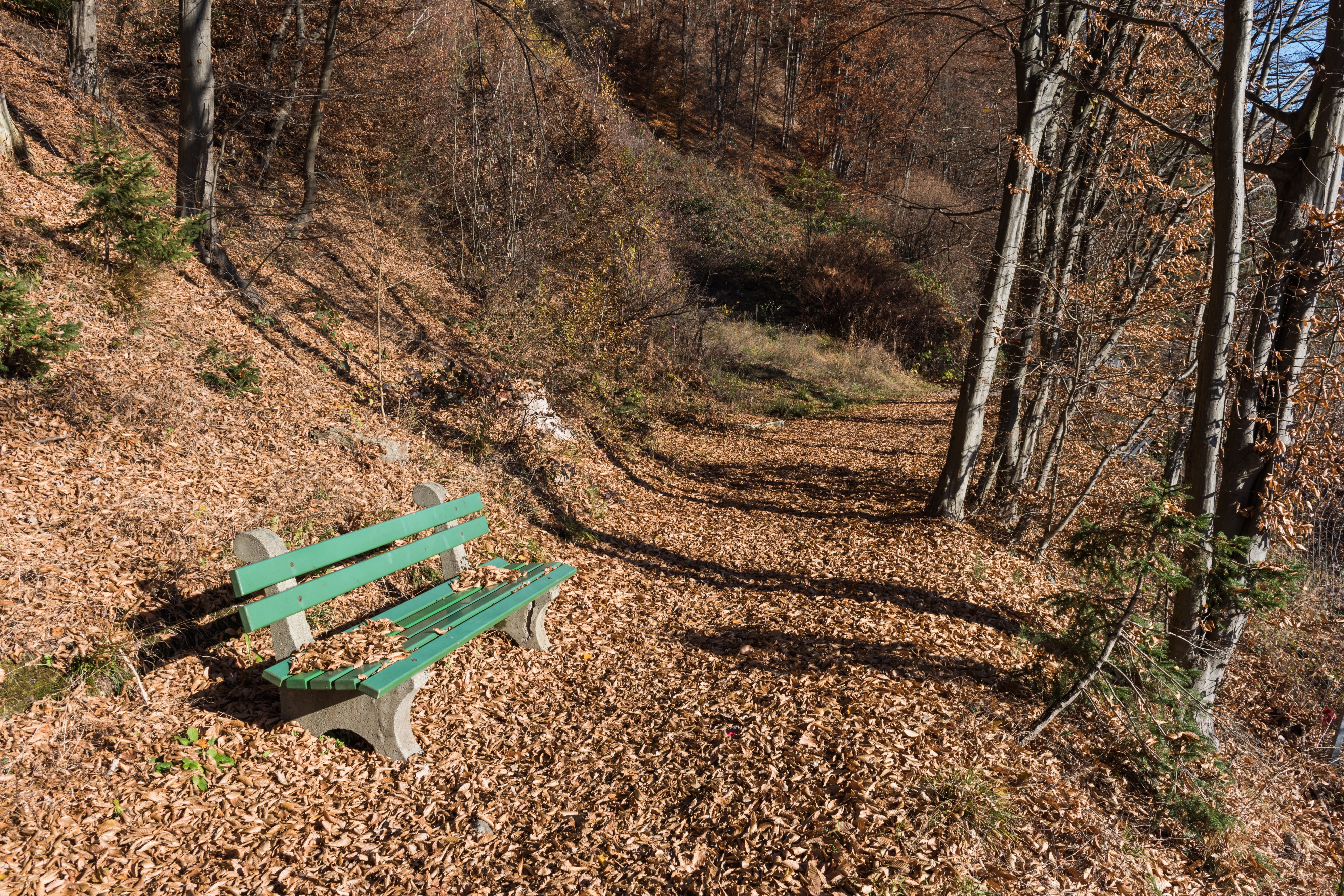 Poertschach Waldweg Hanshoehe 16112015 9058