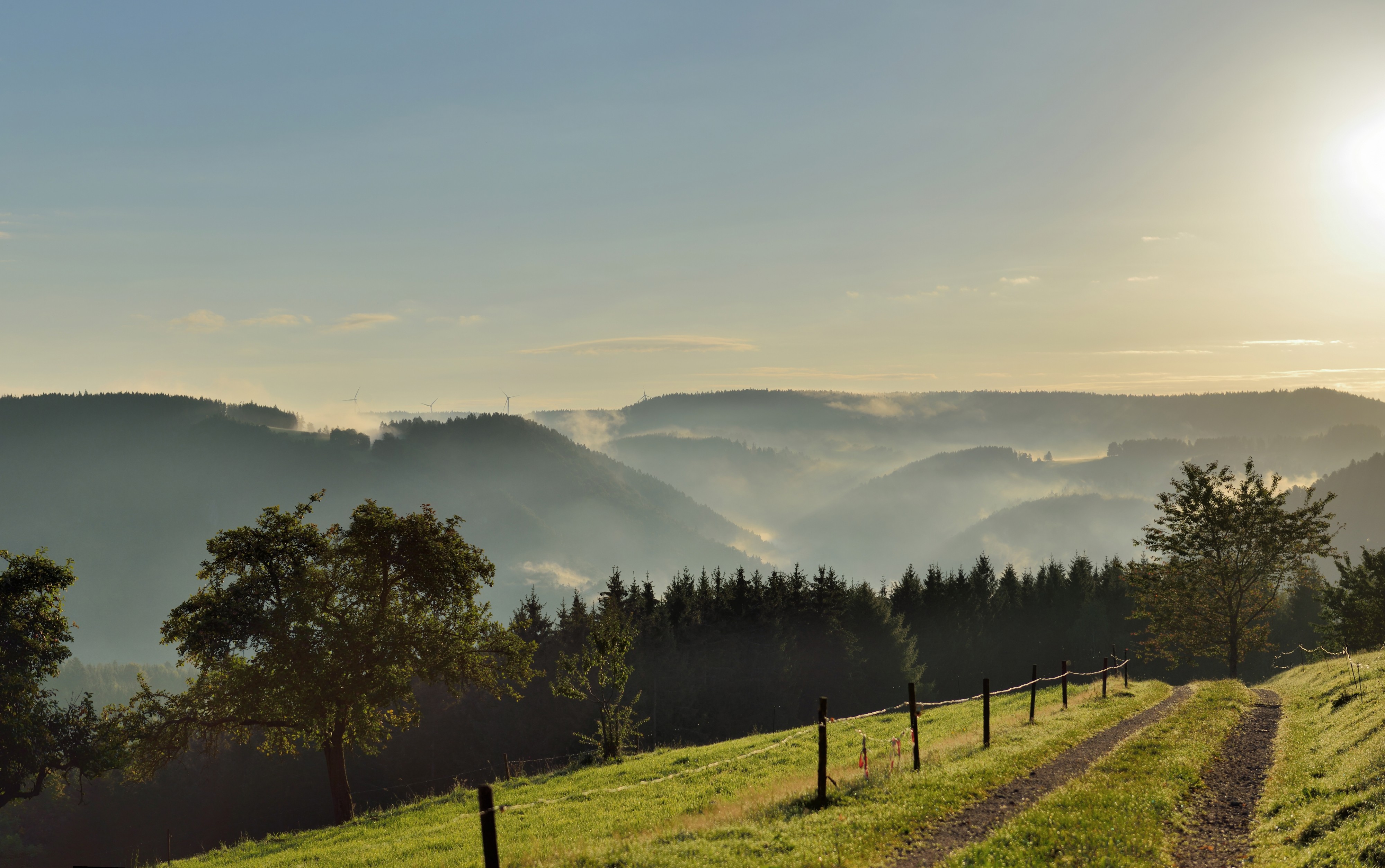 Schonach - Paradies - Sonnenaufgang
