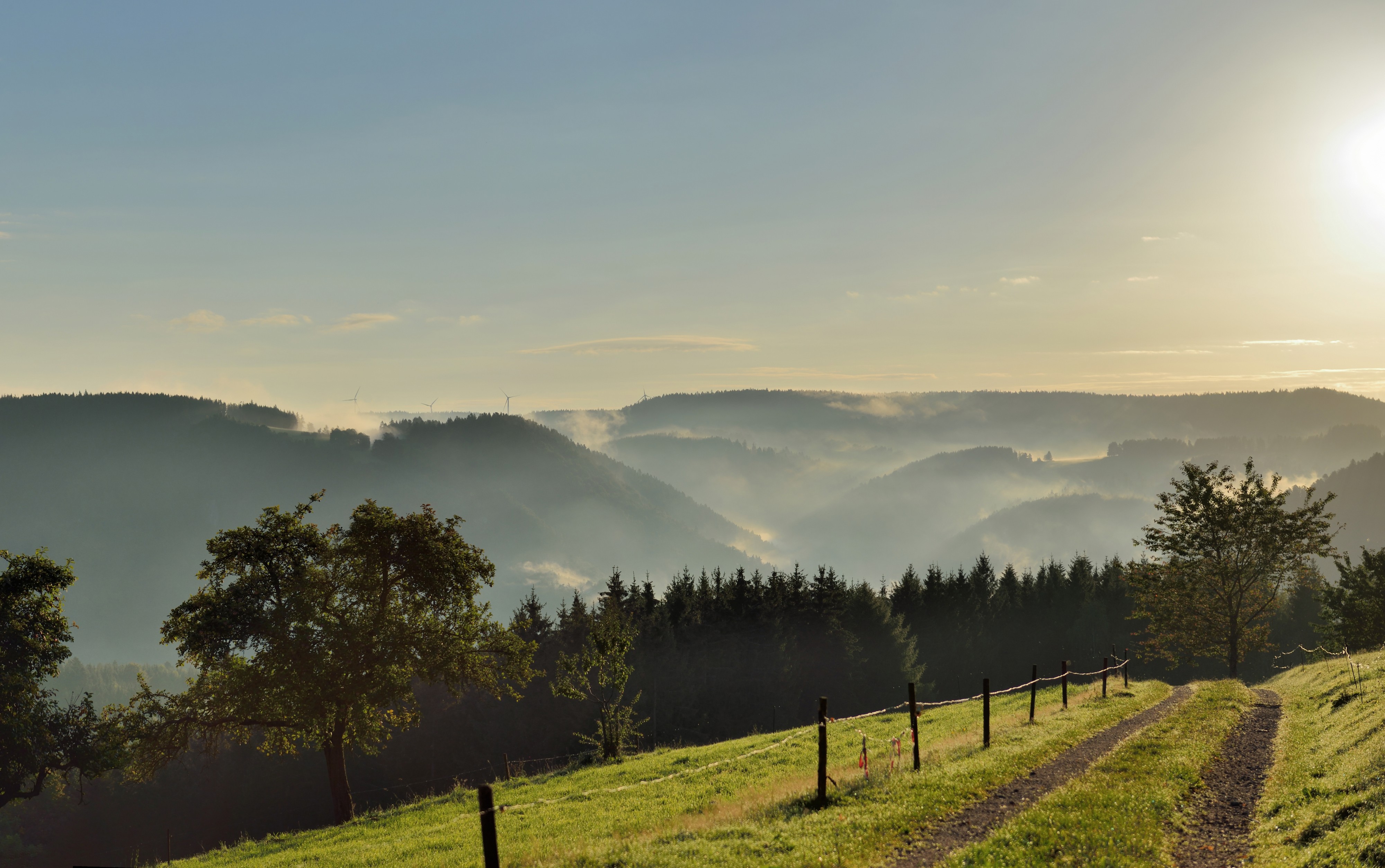 Schonach - Paradies - Sonnenaufgang
