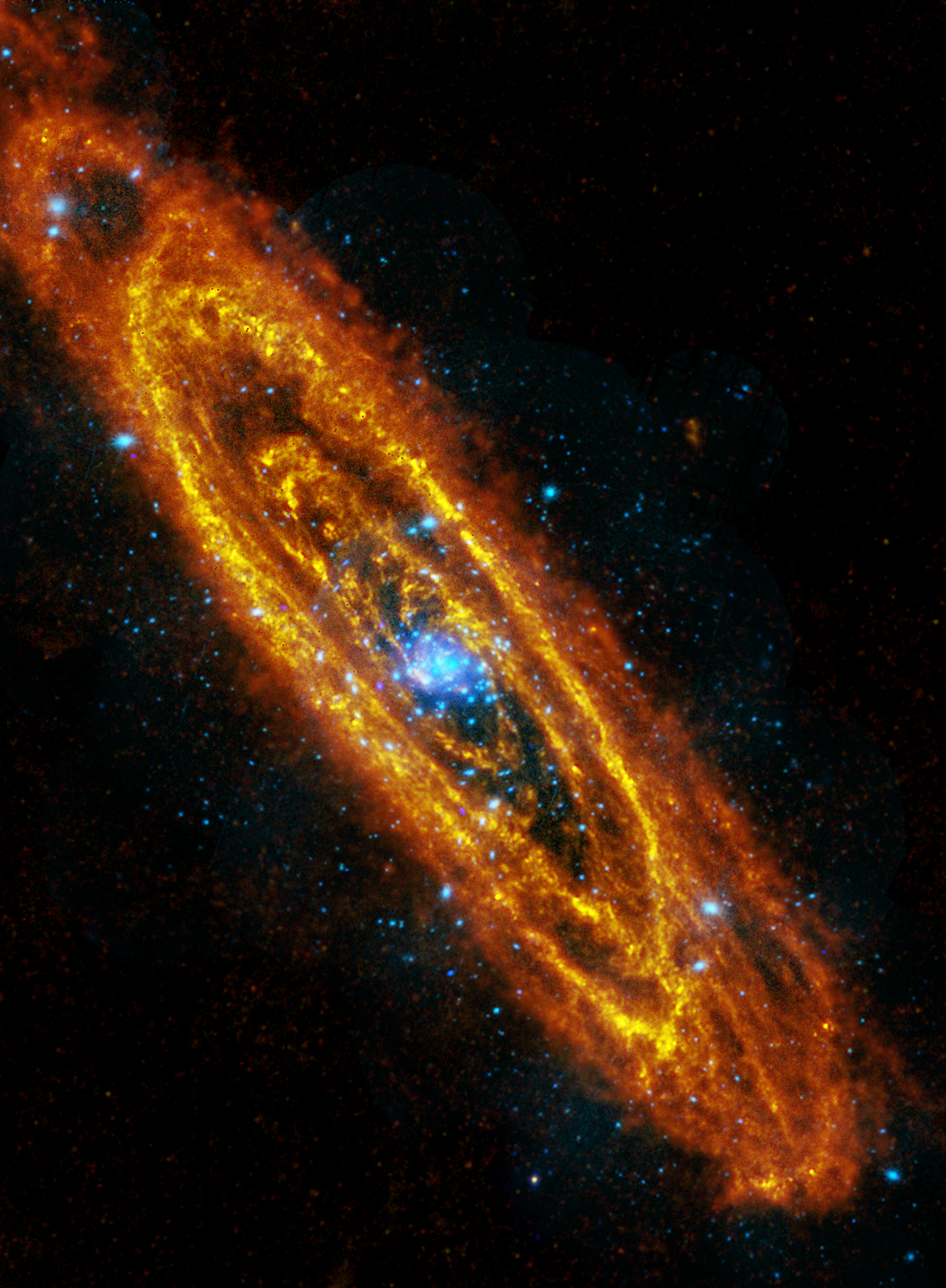 Andromeda in X-Ray and Infrared