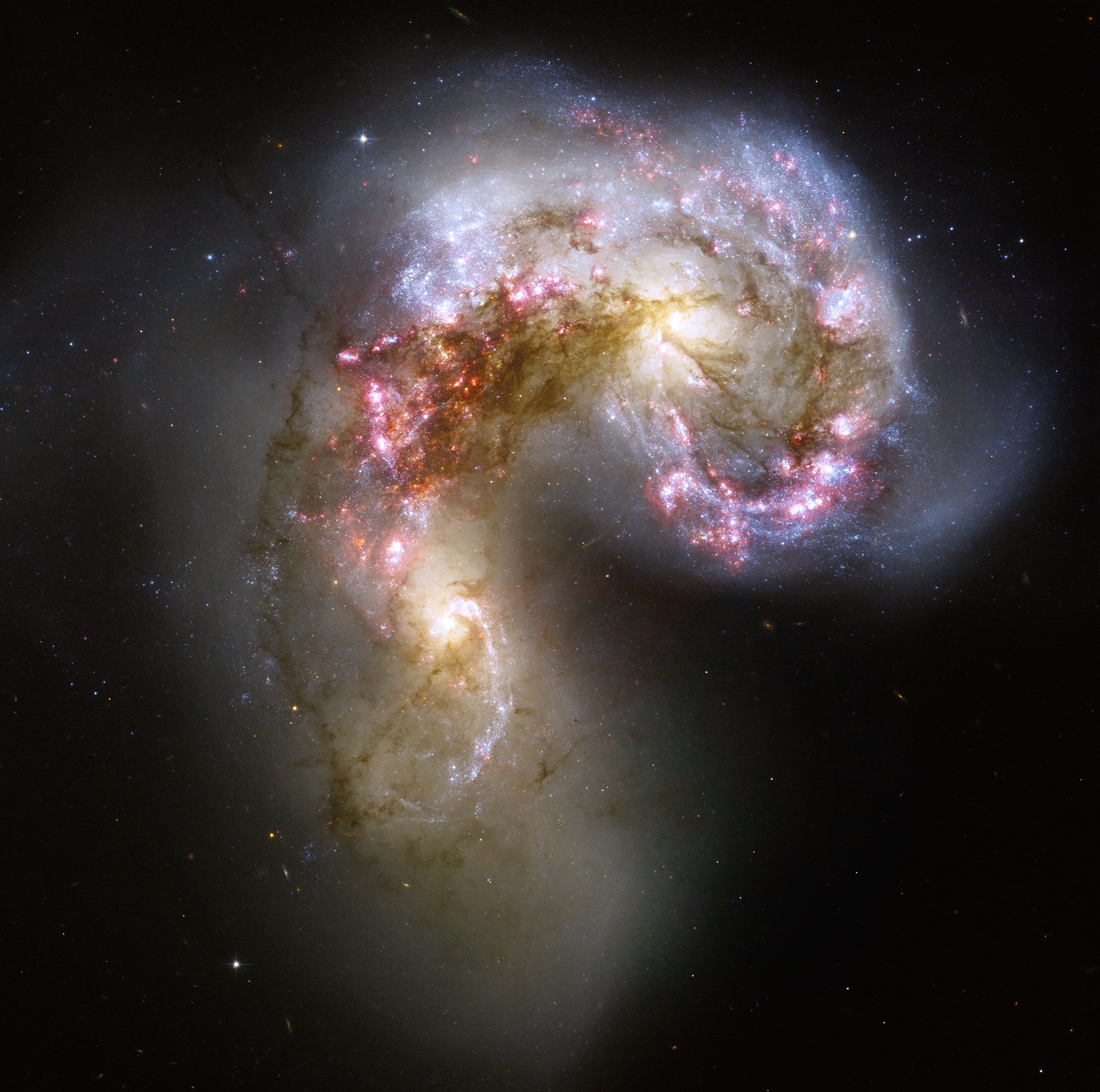 Antennae galaxies xl
