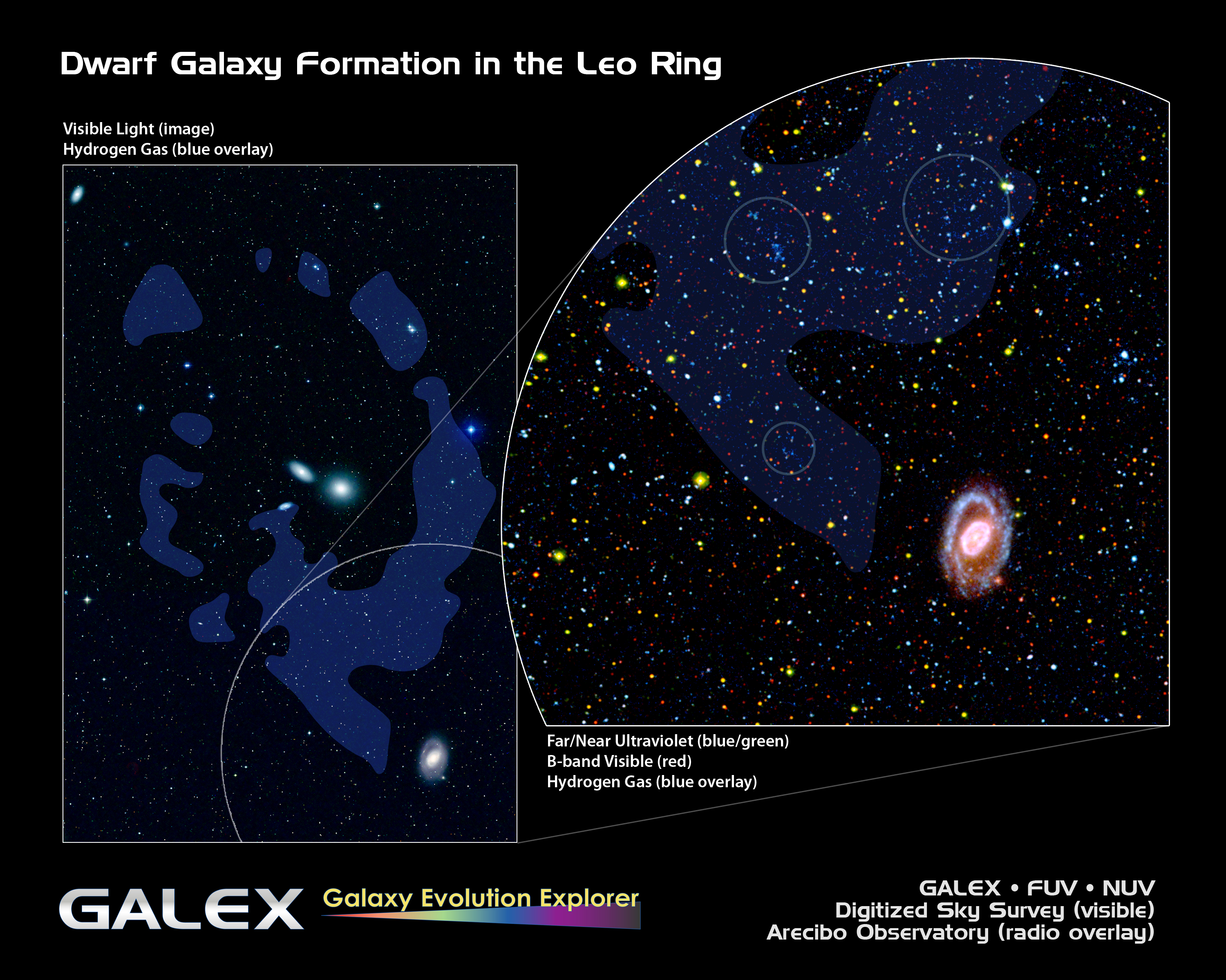 Dwarf Galaxy Formation in the Leo Ring