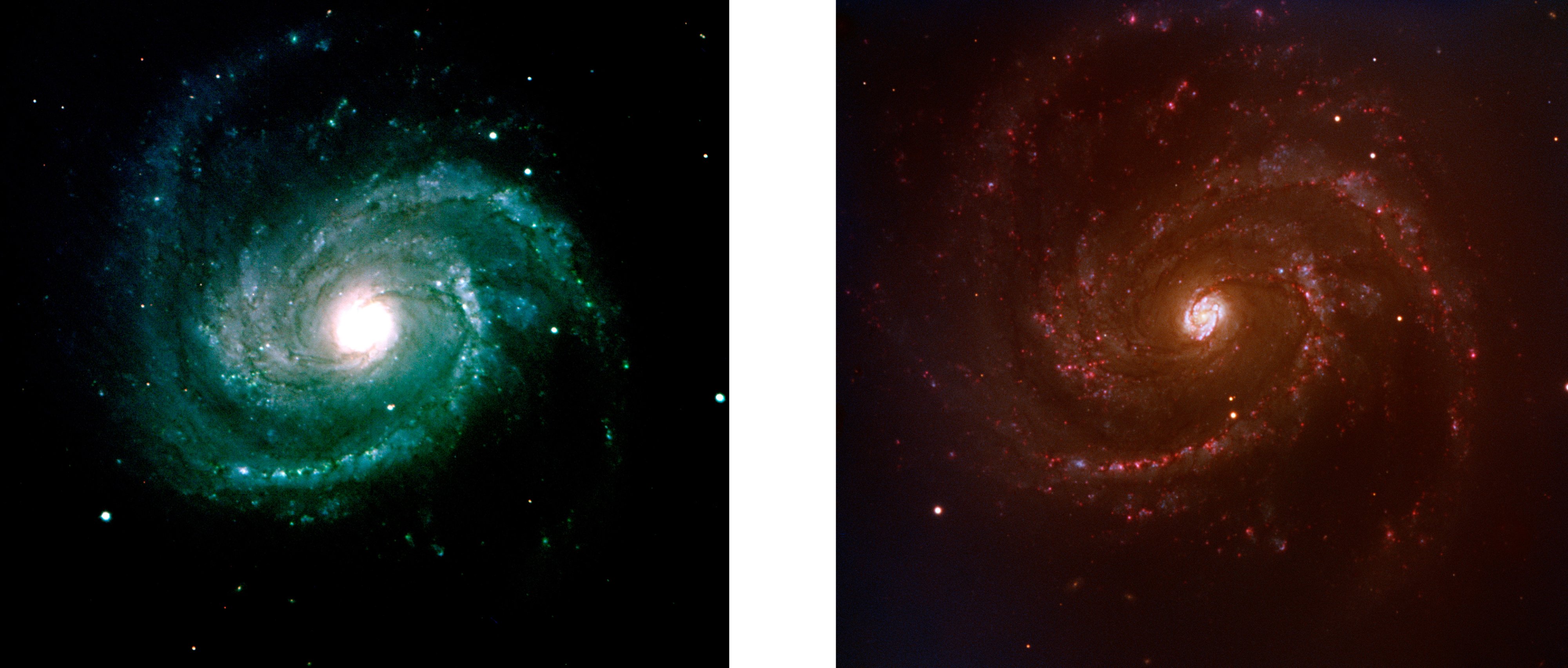 ESO- SN 2006X in Messier 100-Phot-08b-06