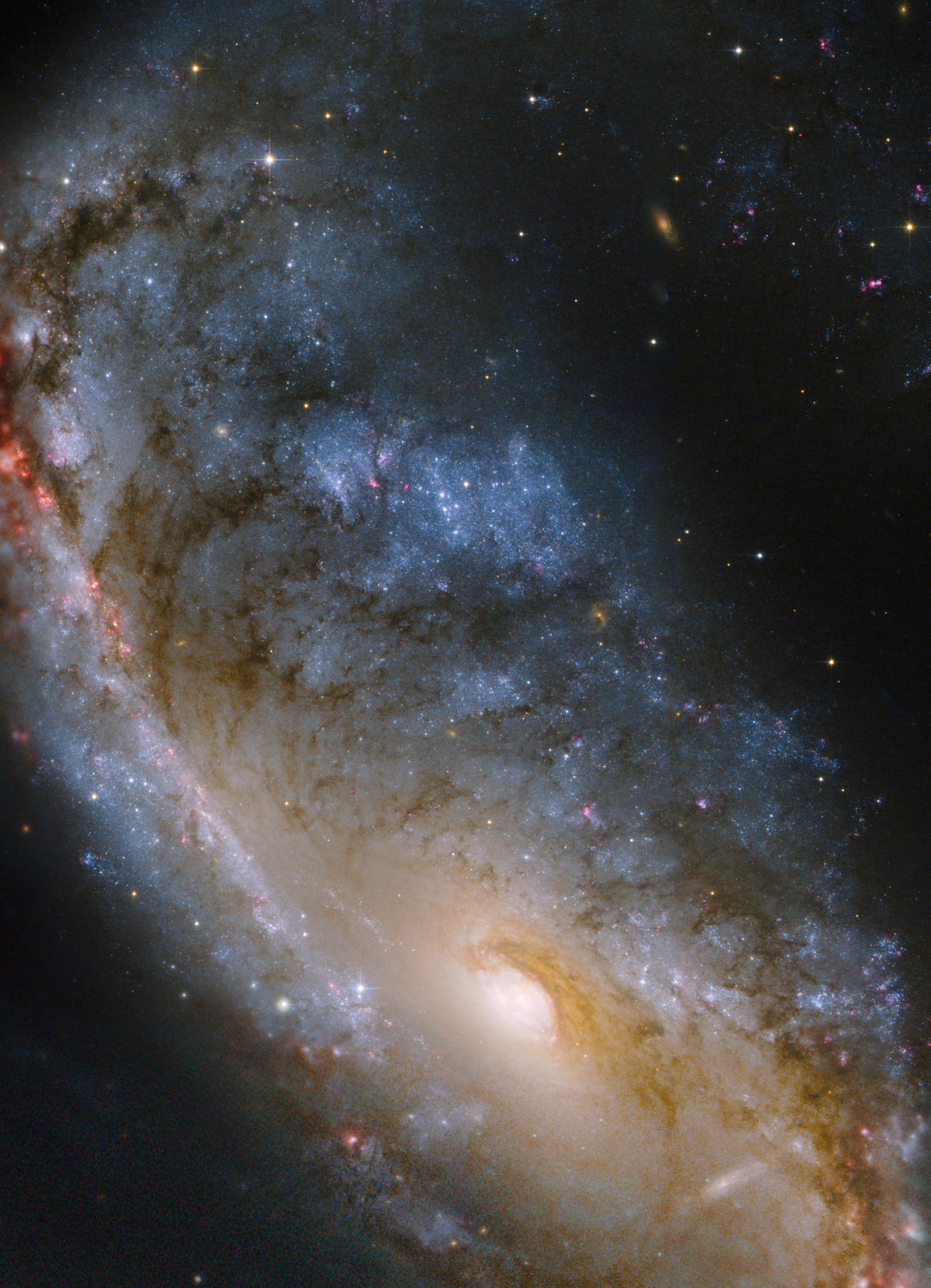 NGC 2442