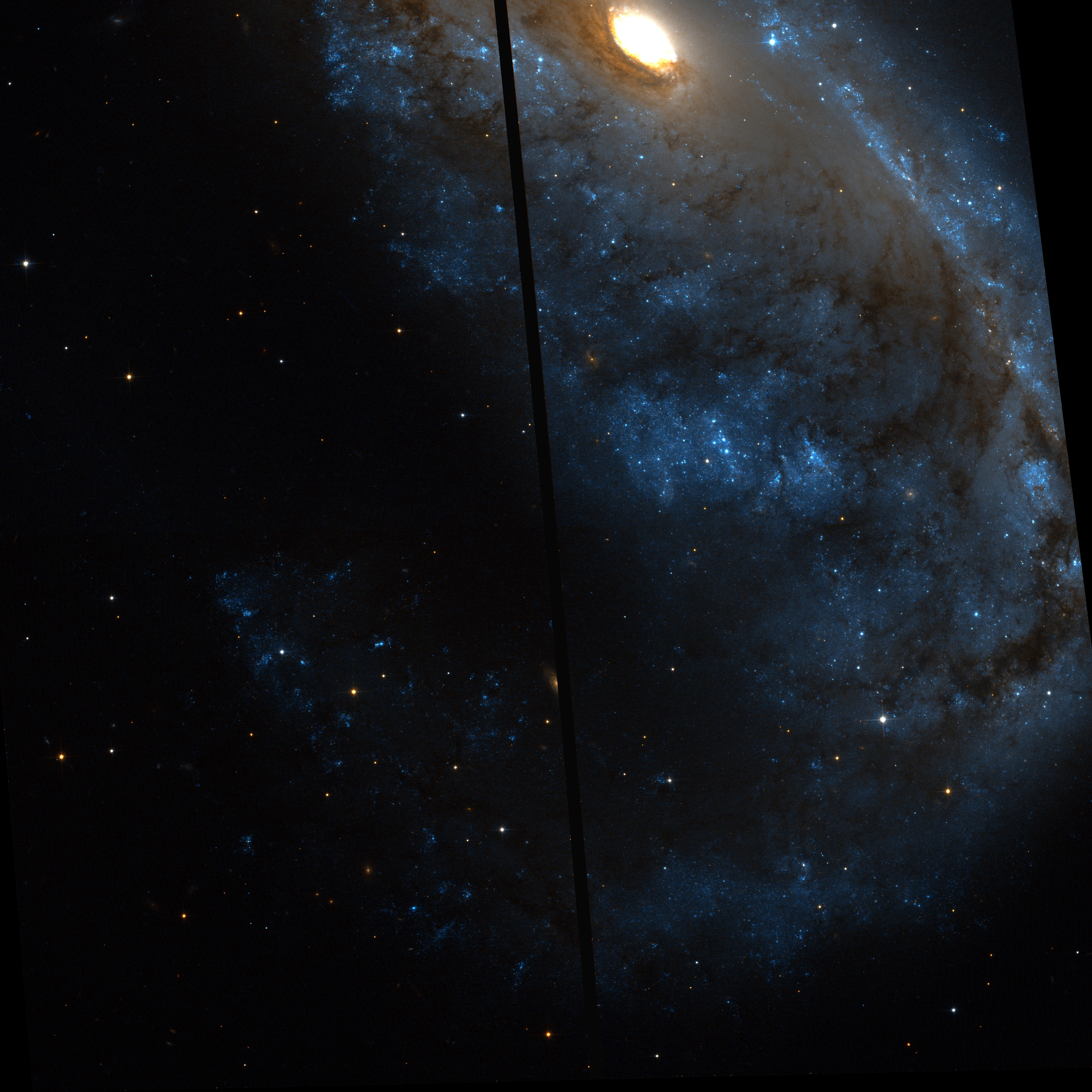 NGC 2442 Hubble south wing