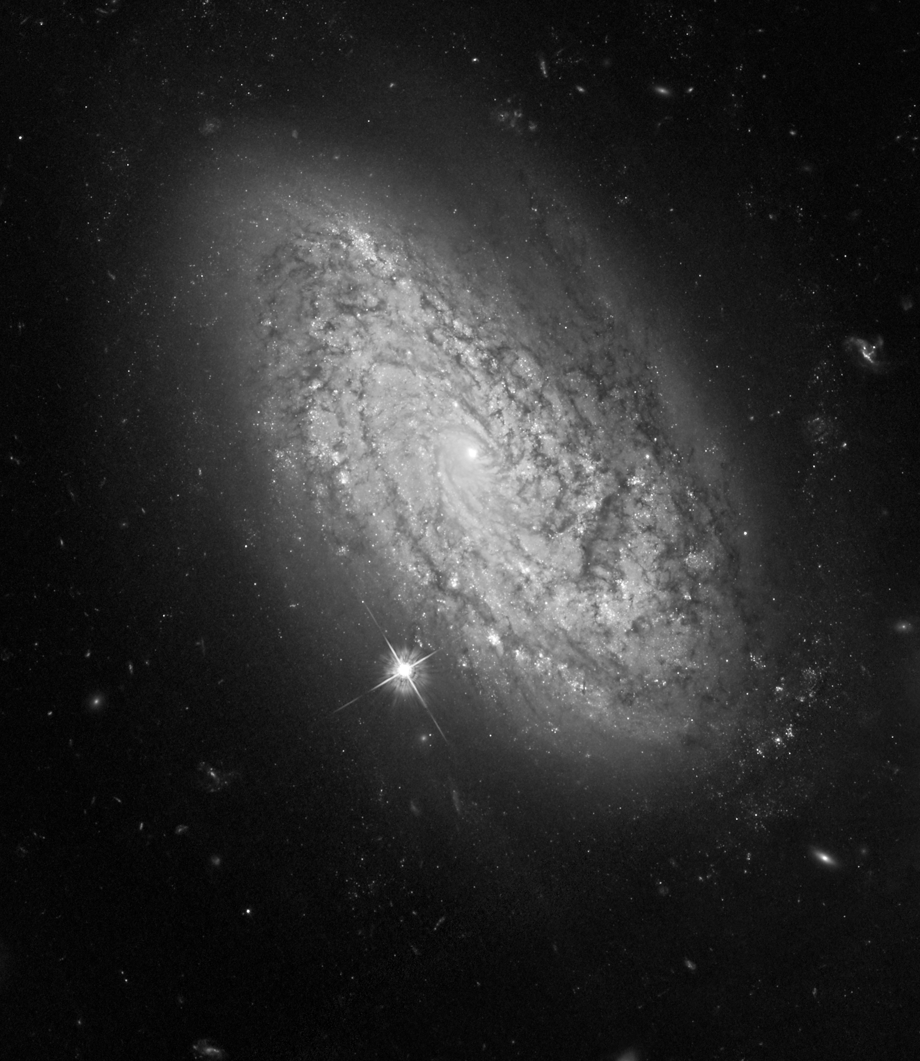 NGC 3021 Hubble