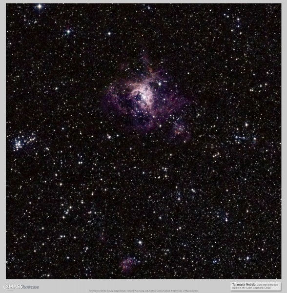 2MASS Image of the Tarantula Nebula