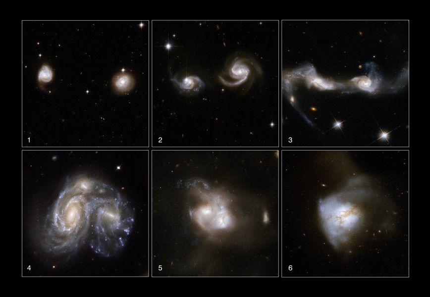Galaxies Gone Wild