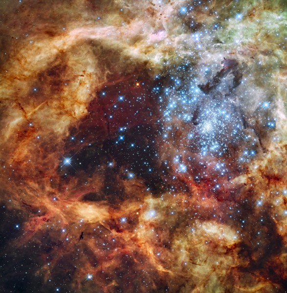 Grand star-forming region R136 in NGC 2070 (captured by the Hubble Space Telescope)