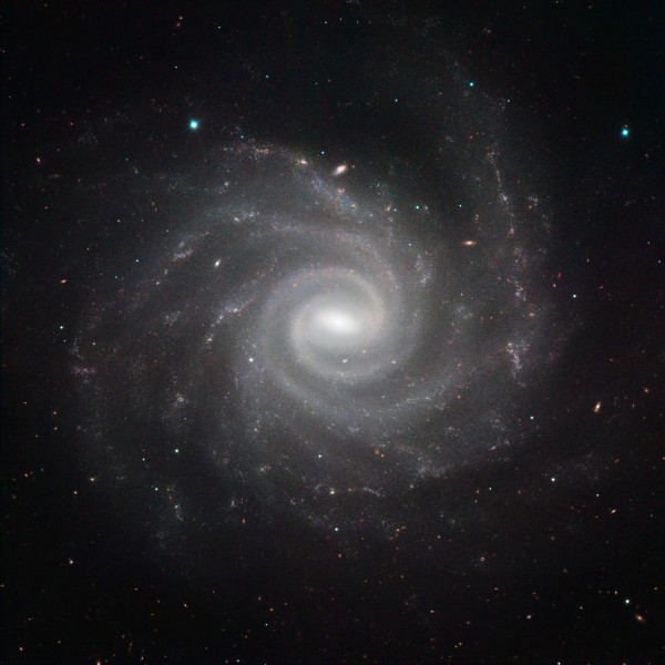 HAWK-I NGC 1232