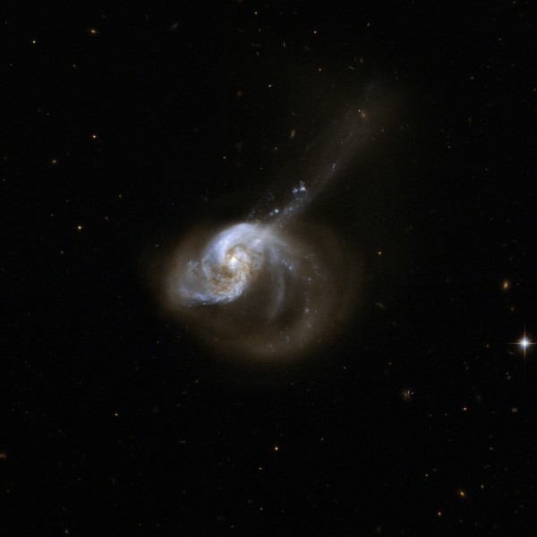 Hubble Interacting Galaxy NGC 1614 (2008-04-24)