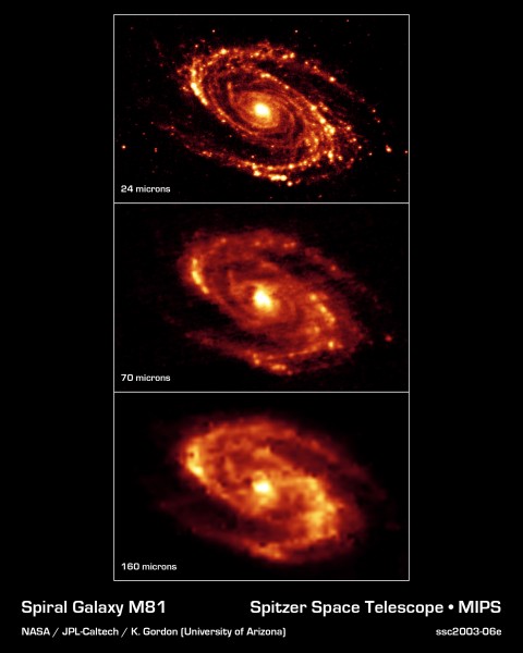 Infrared Views of Messier 81