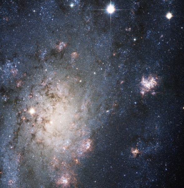 NGC 2403HST